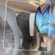 ヒメ日記 2025/08/20 10:59 投稿 白井琴音 五十路マダム 沼津店(カサブランカグループ)