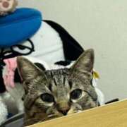 ヒメ日記 2026/10/21 22:53 投稿 うみ 新宿大久保 Aroma Cumpus