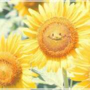 ヒメ日記 2025/07/06 18:02 投稿 りえ 熟女の風俗最終章 池袋店