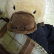 ヒメ日記 2025/12/28 11:02 投稿 りえ 熟女の風俗最終章 池袋店