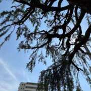 ヒメ日記 2025/06/19 10:34 投稿 梨奈(りな) モアグループ西川口人妻城