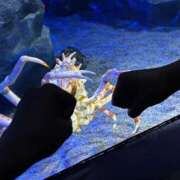 すずな プライベート（9/17） 柏人妻花壇