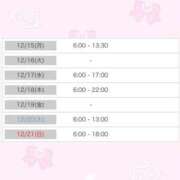 メアリ シフト更新✨ AMOUR（アムール）