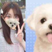 ヒメ日記 2026/01/12 18:07 投稿 メアリ AMOUR（アムール）