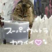 ヒメ日記 2025/06/29 14:01 投稿 松村 BBW横浜店