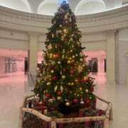 ヒメ日記 2025/12/10 14:41 投稿 芹沢 りの テレジア東京