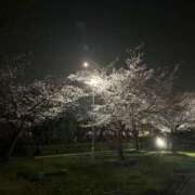 ふみ おはようございます◡̈⃝︎⋆︎* 奥様の実話 谷九店