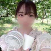 ヒメ日記 2025/06/29 14:17 投稿 すずか マリン千姫