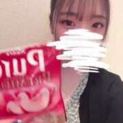 ヒメ日記 2025/07/14 13:46 投稿 すずか マリン千姫