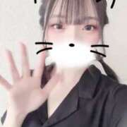 ヒメ日記 2025/07/27 14:06 投稿 すずか マリン千姫