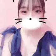 ヒメ日記 2025/07/30 07:47 投稿 すずか マリン千姫