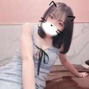 ヒメ日記 2025/09/02 07:22 投稿 すずか マリン千姫