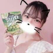 ヒメ日記 2025/09/11 22:42 投稿 すずか マリン千姫