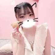 ヒメ日記 2025/11/15 15:03 投稿 すずか マリン千姫