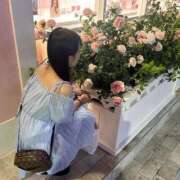 ヒメ日記 2025/11/16 08:59 投稿 るる 極楽城(ゴクラクジョウ)