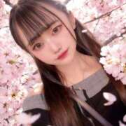 ヒメ日記 2026/04/14 14:28 投稿 るる 極楽城(ゴクラクジョウ)