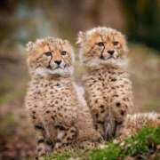 ヒメ日記 2025/06/05 10:59 投稿 麻生 HERMINE-エルミネ-