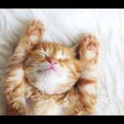 ヒメ日記 2025/06/09 07:18 投稿 麻生 HERMINE-エルミネ-