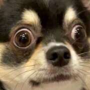 ヒメ日記 2025/06/12 15:57 投稿 麻生 HERMINE-エルミネ-