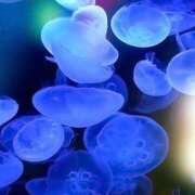 ヒメ日記 2025/06/18 08:19 投稿 麻生 HERMINE-エルミネ-