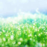 ヒメ日記 2025/06/20 10:17 投稿 麻生 HERMINE-エルミネ-