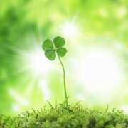 ヒメ日記 2025/07/02 08:30 投稿 麻生 HERMINE-エルミネ-