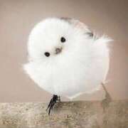 ヒメ日記 2025/07/04 08:20 投稿 麻生 HERMINE-エルミネ-