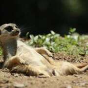 ヒメ日記 2025/07/13 09:24 投稿 麻生 HERMINE-エルミネ-