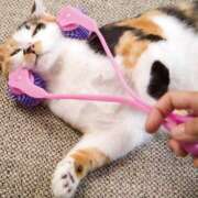 ヒメ日記 2025/07/17 21:49 投稿 麻生 HERMINE-エルミネ-