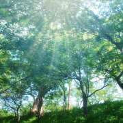 ヒメ日記 2025/07/18 07:53 投稿 麻生 HERMINE-エルミネ-