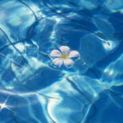 ヒメ日記 2025/07/20 08:14 投稿 麻生 HERMINE-エルミネ-