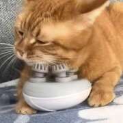 ヒメ日記 2025/07/25 21:34 投稿 麻生 HERMINE-エルミネ-