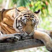 ヒメ日記 2025/08/06 21:11 投稿 麻生 HERMINE-エルミネ-