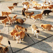 ヒメ日記 2025/08/09 10:41 投稿 麻生 HERMINE-エルミネ-