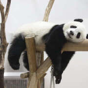 ヒメ日記 2025/08/10 15:02 投稿 麻生 HERMINE-エルミネ-