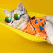 ヒメ日記 2025/08/20 23:18 投稿 麻生 HERMINE-エルミネ-