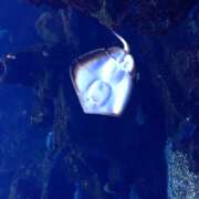 ヒメ日記 2025/08/26 22:50 投稿 麻生 HERMINE-エルミネ-