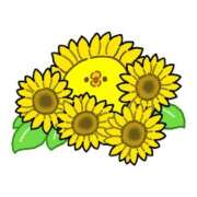 ヒメ日記 2025/08/29 08:15 投稿 麻生 HERMINE-エルミネ-