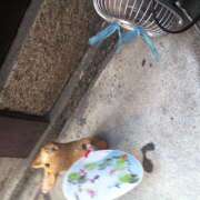 ヒメ日記 2025/08/30 11:17 投稿 麻生 HERMINE-エルミネ-