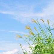 ヒメ日記 2025/09/06 12:08 投稿 麻生 HERMINE-エルミネ-