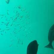 ヒメ日記 2025/09/09 20:19 投稿 麻生 HERMINE-エルミネ-