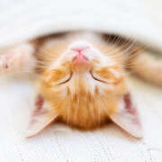 ヒメ日記 2025/09/12 10:34 投稿 麻生 HERMINE-エルミネ-