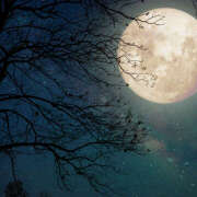 ヒメ日記 2025/09/13 23:42 投稿 麻生 HERMINE-エルミネ-