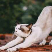 ヒメ日記 2025/09/17 08:26 投稿 麻生 HERMINE-エルミネ-