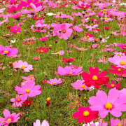 ヒメ日記 2025/10/03 08:41 投稿 麻生 HERMINE-エルミネ-