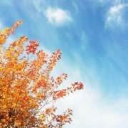 ヒメ日記 2025/10/15 08:50 投稿 麻生 HERMINE-エルミネ-