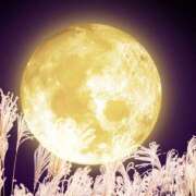 ヒメ日記 2025/10/18 23:45 投稿 麻生 HERMINE-エルミネ-