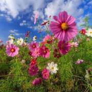 ヒメ日記 2025/10/19 09:13 投稿 麻生 HERMINE-エルミネ-