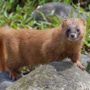 ヒメ日記 2025/10/20 22:41 投稿 麻生 HERMINE-エルミネ-