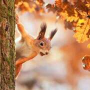 ヒメ日記 2025/10/21 21:32 投稿 麻生 HERMINE-エルミネ-